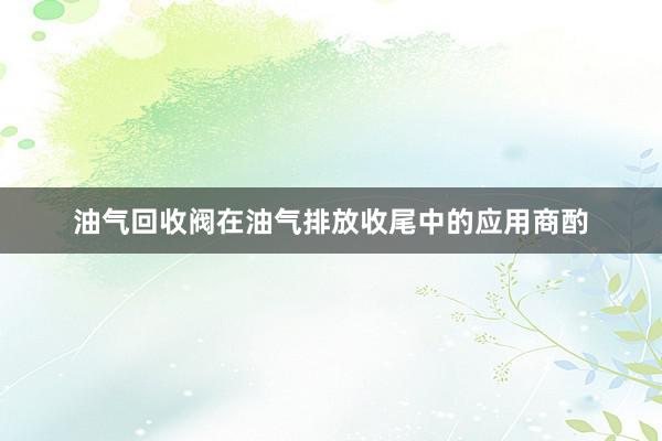 油气回收阀在油气排放收尾中的应用商酌